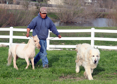 Little America's Baklava Boogie