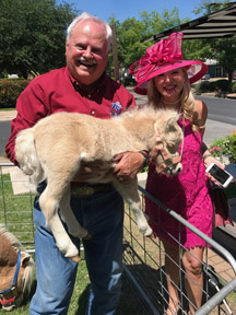 Little America's Baklava Boogie