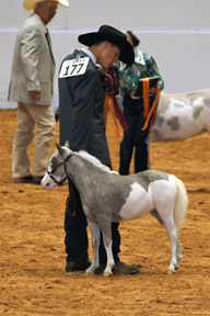 Little America's Terrific Cascaron