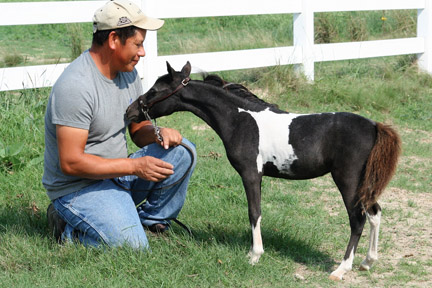 Little America's Jocelyn S S