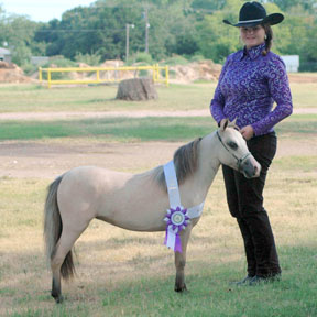 Little America's Boogie Tyne Daly