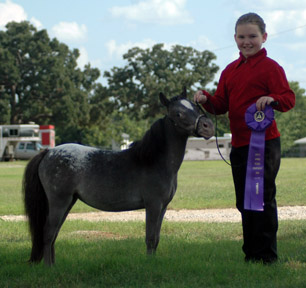 Little America's My Alexa