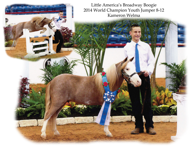 World Champion Youth Jumper Little America's Broadway Boogie