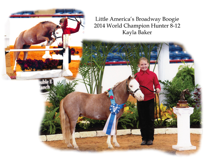 World Champion Little America's Broadway Boogie