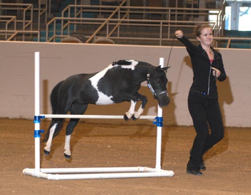 Little America's Xenon Dimitri jumping