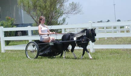 Little America's Xenon Dimitri driving