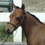 Little America's Skip's Friday