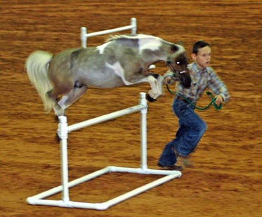 BarB Destinys Over the Rainbow jumping