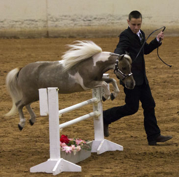 BarB Destinys Over the Rainbow