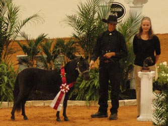 Wizard's Spell Lucky 4 Rowdy Sheeton AMHA World win