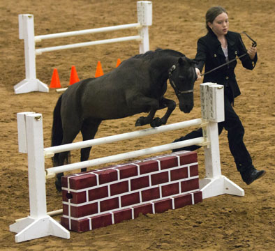 Wizard's Spell Rowdy Lucky 4 Sheeton