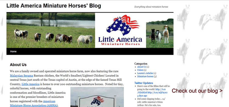 Little America blog