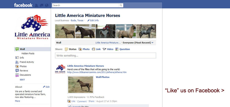 Little America on Facebook