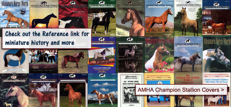 AMHA National Grand Stallion Covers
