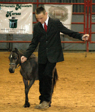 Little America's Secret's Carly X