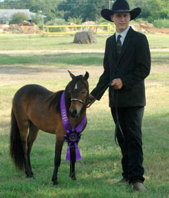 Little America's Secret's Carly X