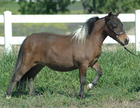 Little America's Sterling Classic