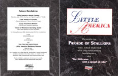 Parade of Stallions color/marble 1