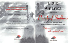 Parade of Stallions BW 1