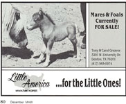 Mares and Foals for sale