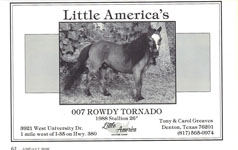 007 Rowdy Tornado