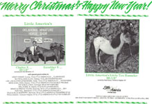 Merry Christmas and Happy New Year