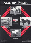 Stallion power