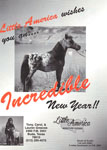 Incredible New Year