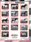 Stallion roster