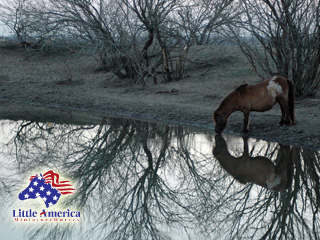 Reflection wallpaper