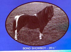 Bond Showboy