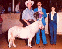 Double 0 Seven and a Half Moto