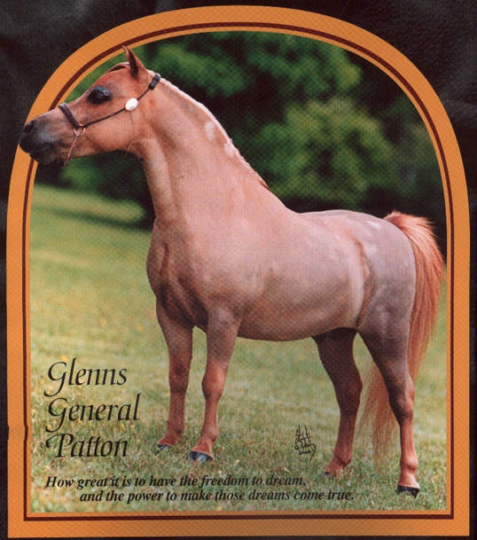 Glenn's General Patton