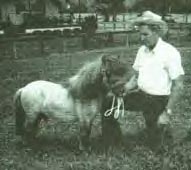 Komoko's Little Husseler