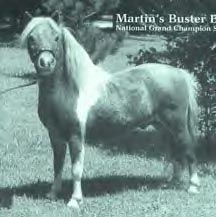 Martin's Buster Bond