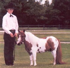 Summer's Mucho Macho