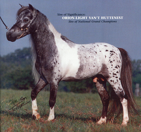 Orion-Light Van't Huttenest