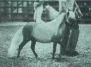 Polaris-Light Van't Huttenest