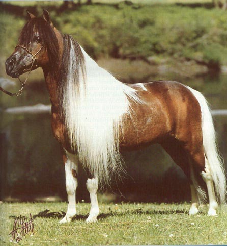 Prince Tennessee of Monashee