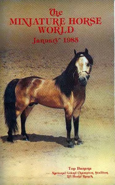 Shadow Oaks Top Banana