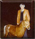 Stout's Mister Pride