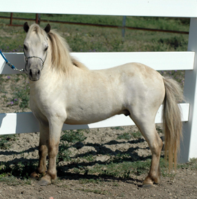 Rogers' HSR Destiny at Last