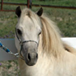 Rogers' HSR Destiny At Last