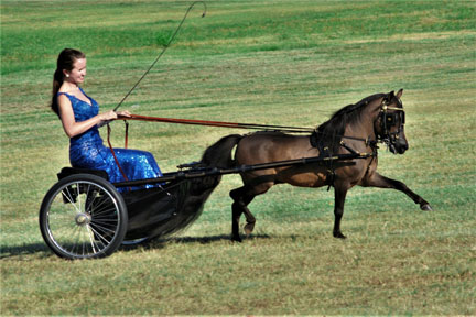 Lymrick's Irresistible Force (Guinness) 