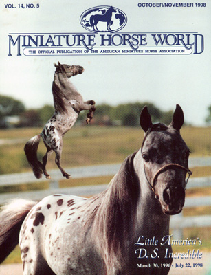 Little America's D.S. Incredible