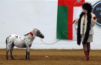 Joy Boy Lauren Cruella1