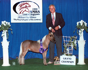 Little America's King's Excalibur