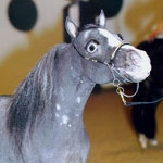 Little America's W. T. Question Mark