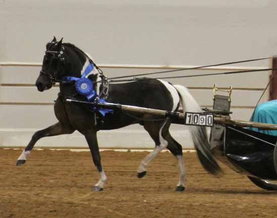 Silver Meadow's Phantom Storm