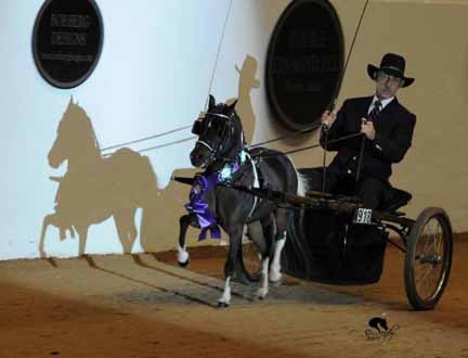 Silver Meadow's Phantom Storm